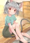  1girl animal_ears ashino_chimado bangs crystal grey_hair highres jewelry mouse_ears mouse_girl mouse_tail nazrin pendant red_eyes short_hair solo tail touhou 