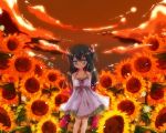  bad_id black_hair dress flower hair_bobbles hair_ornament ichiyou_moka original side_ponytail smile solo sunflower 