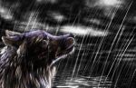  fur hair rain tears water wet wolf 