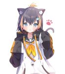  1girl animal_ear_fluff animal_ears bangs black_hair black_sailor_collar blue_eyes blush brown_hair cat_ears cat_girl cat_tail commentary deyui drawstring eyebrows_visible_through_hair fish_hair_ornament hair_between_eyes hair_ornament highres jacket kemonomimi_mode long_sleeves looking_at_viewer multicolored_hair neckerchief nijisanji nijisanji_en parted_lips petra_gurin romaji_commentary sailor_collar shirt simple_background sleeves_past_fingers sleeves_past_wrists solo streaked_hair tail tail_raised virtual_youtuber white_background white_jacket white_shirt yellow_neckerchief 