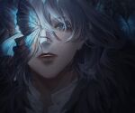  1boy arthropod_boy bangs blue_butterfly blue_eyes bug butterfly butterfly_on_nose cape crown diamond_hairband face fate/grand_order fate_(series) fur-trimmed_cape fur_trim grey_hair highres long_hair looking_at_viewer male_focus me-me oberon_(fate) shirt solo white_shirt 