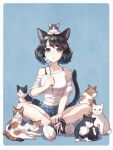  1girl animal_ears animal_on_head bangs bare_legs bare_shoulders black_hair blue_background blue_eyes bra_strap breasts cat cat_day cat_ears cat_girl cat_on_head cat_tail cat_teaser collarbone denim denim_shorts eyebrows_visible_through_hair feathers full_body indian_style looking_up medium_breasts medium_hair midriff_peek on_head open_mouth original shirt shoes short_shorts shorts simple_background sitting sneakers soujirou swept_bangs tail too_many too_many_cats white_shirt 