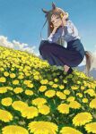  1girl absurdres animal_ears black_footwear blue_eyes blue_shirt blue_skirt breasts bright_pupils brown_hair buttons closed_mouth clouds dandelion field flower flower_field full_body grass_wonder_(umamusume) high_heels highres holding holding_flower horse_ears horse_girl horse_tail houkou_illust long_hair long_sleeves looking_at_viewer medium_breasts outdoors shirt shirt_tucked_in skirt smile solo squatting tail umamusume white_pupils 