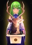  1girl antlers bangs bare_shoulders blue_skirt blush box closed_mouth cowboy_shot detached_sleeves expressionless eyebrows_visible_through_hair frog_hair_ornament gradient gradient_background green_eyes green_hair hair_ornament hair_tubes highres holding holding_box kochiya_sanae light_particles long_hair long_sleeves looking_at_viewer sen_(daydream_53) shirt simple_background skirt solo taxidermy touhou white_shirt wide_sleeves wing_collar 