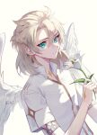  0jae 1boy absurdres albedo_(genshin_impact) aqua_eyes bangs closed_mouth feathered_wings flower genshin_impact grey_hair hair_between_eyes highres holding holding_flower looking_at_viewer male_focus scar scar_on_neck shirt simple_background solo upper_body watermark white_flower white_shirt white_wings wings 