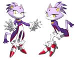  1girl animal_ears blaze_the_cat cat_ears cat_girl cat_tail flowers-imh forehead_jewel furry furry_female gloves highres long_sleeves looking_at_viewer purple_hair shoes sitting smile sonic_(series) standing tail white_gloves yellow_eyes 