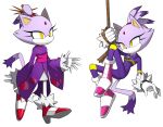  1girl animal_ears blaze_the_cat bodysuit cat_ears cat_girl cat_tail flowers-imh forehead_jewel full_body furry furry_female gloves highres holding holding_rope long_sleeves official_alternate_costume purple_hair rope shoes smile sonic_(series) sonic_riders standing tail 