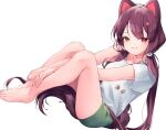 1girl :d animal_ears bangs bare_legs bare_shoulders barefoot between_legs brown_eyes brown_hair closed_mouth dog_ears dog_tail eyebrows_visible_through_hair flower from_side full_body green_shorts hair_flower hair_ornament hand_between_legs heterochromia highres inui_toko long_hair looking_at_viewer nijisanji red_eyes shirt short_shorts shorts smile solo sukuna136 tail toes twintails v_arms very_long_hair virtual_youtuber white_shirt 