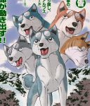  blue_eyes brown_eyes collar dog fangs gin_(ginga_densetsu_weed) gin_(ginga_nagareboshi_gin) ginga_densetsu_weed ginga_nagareboshi_gin joe_(ginga_densetsu_weed) riki_(ginga_nagareboshi_gin) scar weed_(ginga_densetsu_weed) yukimura_(ginga_densetsu_weed) 