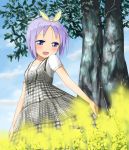  casual dress flower from_below hiiragi_tsukasa lucky_star orange-pengin purple_hair short_hair tree 