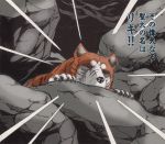  claws dog ginga_nagareboshi_gin riki_(ginga_nagareboshi_gin) scar 
