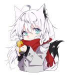  1girl :3 ahoge animal_ear_fluff animal_ears bangs braid breath can commentary_request earrings eyebrows_visible_through_hair fox_ears fox_girl fox_tail green_eyes hair_between_eyes highres hiyashinssu holding holding_can hololive jacket jewelry long_hair looking_at_viewer pentagram red_scarf scarf shirakami_fubuki sidelocks simple_background single_braid solo tail virtual_youtuber white_background white_hair white_jacket 