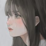  1girl absurdres brown_eyes brown_hair commentary crying crying_with_eyes_open english_commentary face grey_background highres long_hair original parted_lips portrait simple_background solo tears yudoufu_(yudouhu_1212) 