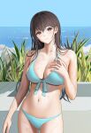  1girl beach bikini blue_bikini blue_sky blush breasts brown_eyes brown_hair closed_mouth cowboy_shot front-tie_bikini front-tie_top highres large_breasts leaf long_hair looking_at_viewer navel ocean original sky smile solo stomach swimsuit tokkihouse wet wet_hair 