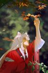  1boy animal_ears autumn_leaves blurry depth_of_field dog_ears forest from_side grey_hair haori highres inuyasha inuyasha_(character) japanese_clothes jewelry long_hair nature necklace shaded_face sidelocks solo upper_body wide_sleeves yellow_eyes yuigacyako 