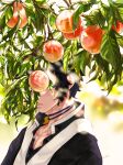  1boy 8aoiii absurdres black_hair blurry branch choker closed_mouth covered_eyes day depth_of_field food fruit fruit_tree highres japanese_clothes jewelry kaigaku kimetsu_no_yaiba lips magatama male_focus nature peach portrait short_hair sidelocks solo tree vest 