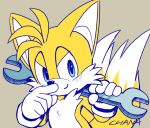 1boy animal_ears animal_nose blue_eyes chana_(furrytails) commentary_request fox_boy fox_ears fox_tail furry furry_male gloves holding looking_at_viewer male_focus multiple_tails simple_background smile solo sonic_(series) tail tails_(sonic) two_tails white_gloves 