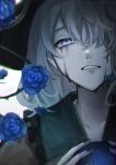 1girl bangs black_headwear blue_flower blue_rose blurry chromatic_aberration collarbone crying crying_with_eyes_open depth_of_field eyebrows_behind_hair face flower frilled_shirt_collar frills grey_eyes grey_hair hair_between_eyes hair_over_one_eye hands_up highres komeiji_koishi looking_at_viewer medium_hair nail_polish petals plant rokuya_(68_zusao) rose runny_makeup shirt simple_background solo tears teeth third_eye thorns touhou vines white_background yellow_shirt 