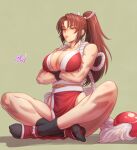  1girl black_legwear breasts brown_eyes brown_hair fatal_fury fujii_eishun hair_ornament high_ponytail highres japanese_clothes large_breasts long_hair ninja ponytail revealing_clothes rope shiranui_mai sitting socks solo the_king_of_fighters very_long_hair 