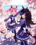  2girls animal_ears bangs blue_flower blue_rose blush bow bowtie branch brown_footwear brown_hair cherry_blossoms cherry_tree cityscape flower hair_intakes haru_urara_(umamusume) hat hat_flower headband highres horse_ears horse_girl horse_tail long_hair long_sleeves looking_at_viewer looking_back mountainous_horizon multiple_girls open_mouth outdoors outstretched_arm petals pink_eyes pink_hair ponytail purple_legwear purple_shirt purple_skirt railing rice_shower_(umamusume) rose sailor_collar school_uniform shirt shoes skirt smile stairs standing sylpi tail thigh-highs tracen_school_uniform twitter_username umamusume violet_eyes white_bow white_bowtie 