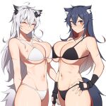  2girls ^_^ animal_ear_fluff animal_ears arknights asymmetrical_docking bangs bare_shoulders bikini black_gloves black_hair breast_press breasts brown_eyes closed_eyes commentary cowboy_shot english_commentary eyebrows_visible_through_hair fingerless_gloves gloves groin hair_between_eyes hand_on_hip hanenosaki highres lappland_(arknights) large_breasts long_hair multiple_girls navel scar scar_across_eye silver_hair simple_background smile standing stomach swimsuit tail texas_(arknights) very_long_hair white_background white_bikini wolf_ears wolf_tail 