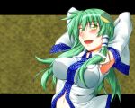  breasts detached_sleeves erect_nipples frog green_eyes green_hair hair_ornament kochiya_sanae large_breasts long_hair midriff navel shadowfox_(pixiv) touhou 