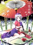  bamboo_forest barefoot blush bottle braid breast_hold breasts chibi feet forest hinooka_shuuji ibuki_suika large_breasts minigirl nature oriental_umbrella parasol sakazuki sake sitting touhou umbrella yagokoro_eirin 