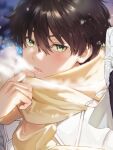  1boy bangs black_hair brown_hair green_eyes hyouka mery_(yangmalgage) open_mouth oreki_houtarou scarf short_hair simple_background snowing 