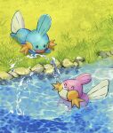  ^_^ absurdres alternate_color aruha_(bear_nao) closed_eyes commentary_request day grass happy highres lying mudkip no_humans on_stomach open_mouth outdoors pokemon pokemon_(creature) shiny_pokemon smile water 