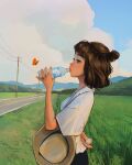 1girl breasts brown_hair bug butterfly clouds day drinking hat highres holding lips medium_breasts mountain orange_butterfly outdoors profile road sam_yang sky 
