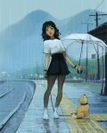  1girl choker dog highres holding holding_umbrella lips long_hair looking_at_viewer outdoors rain sam_yang skirt umbrella wet 