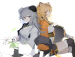  2girls absurdres animal_ear_fluff animal_ears arknights back-to-back bead_bracelet beads black_legwear black_shorts blonde_hair blue_eyes bracelet breasts brown_eyes brown_hair bun_cover chinese_clothes closed_mouth crossed_legs du_(arknights) earrings feather_hair fur_shawl gloves green_gloves hair_rings highres jacknife jewelry long_hair long_sleeves looking_at_viewer medium_breasts mulberry_(plant_crude_drug)_(arknights) multicolored_hair multiple_girls official_alternate_costume shorts silver_hair simple_background single_glove sitting smile tassel thigh-highs tiger_ears two-tone_hair underbust very_long_hair white_background 