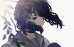  1girl bangs black_hair blurry blurry_foreground commentary_request fukumaru_koito idolmaster idolmaster_shiny_colors leaf looking_down medium_hair neckerchief r1t0 sailor_collar solo swept_bangs twintails upper_body violet_eyes white_background wind 