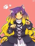  blush cat_ears dress gradient_hair hijiri_byakuren kemonomimi_mode long_hair multicolored_hair paw_pose paw_print sayuma solo touhou yellow_eyes 