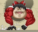  biscuit_oliva grappler_baki hakurei_reimu ikuramaru muscle touhou what yukkuri_shiteitte_ne 