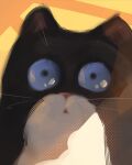  :o animal_focus blue_eyes cat highres looking_at_viewer sam_yang staring yellow_background 