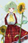 1girl ascot flower green_hair highres kazami_yuuka koyoko plaid plaid_skirt plaid_vest red_eyes short_hair skirt smile solo touhou vest 