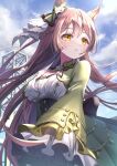  1girl animal_ears blurry blurry_background blush breasts brown_hair clouds commentary_request frilled_sleeves frills hair_between_eyes highres horse_ears horse_girl long_sleeves looking_to_the_side medium_breasts satono_diamond_(umamusume) solo takenaka_takeshi umamusume yellow_eyes 