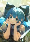  1girl arm_support blue_bow blue_eyes blue_hair blue_skirt blue_vest blush bow cirno closed_mouth commentary eyebrows_visible_through_hair frog frozen grass hair_bow hands_on_own_cheeks hands_on_own_face head_rest highres ice kurowa_(curowa) looking_at_animal lying neck_ribbon on_stomach puffy_short_sleeves puffy_sleeves red_ribbon ribbon shirt short_hair short_sleeves skirt skirt_set smile touhou upper_body v-shaped_eyebrows vest white_shirt 