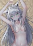  1girl absurdres animal_ears arm_up bangs bed blue_eyes blush braid breasts closed_mouth highres hololive long_hair looking_at_viewer lying miseki_you nude on_back shirakami_fubuki small_breasts upper_body virtual_youtuber white_hair 