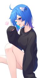  1girl 774_inc. ahoge animal_ear_fluff animal_ears animare black_shirt blue_eyes blue_hair breasts cat_ears collarbone earrings highres jewelry long_sleeves looking_at_viewer medium_breasts nishino_eri open_mouth shirt simple_background sitting sleeves_past_fingers sleeves_past_wrists smile solo souya_ichika virtual_youtuber white_background 