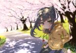  1girl akari_(raigou) bangs black_hair blunt_bangs cherry_blossoms clenched_teeth clothing_request commentary_request cowboy_shot day eyebrows_visible_through_hair highres hood hoodie jewelry light_blush long_hair long_sleeves looking_at_viewer necklace original outdoors petals ponytail raigou smile solo standing teeth thick_eyebrows yellow_eyes yellow_hoodie 
