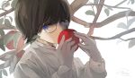  1girl apple artist_name blue_eyes branch brown_hair commentary_request crying crying_with_eyes_open food fruit glasses gloves grey_gloves hands_up highres holding holding_food leaf looking_at_viewer original shinonome_nemu_(nemulog_sn) shirt short_hair simple_background solo tears upper_body white_background white_shirt 