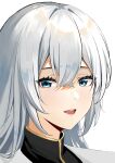  1girl :d absurdres bangs blue_eyes close-up commentary_request crossed_bangs eyebrows_visible_through_hair grey_hair hair_between_eyes highres long_hair looking_at_viewer open_mouth original shadow simple_background smile solo tari_(aegr3883) teeth upper_teeth white_background white_hair 