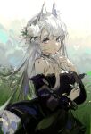  1girl animal_ear_fluff animal_ears arknights bangs bare_shoulders black_dress blue_eyes blush bug butterfly closed_mouth clouds cowboy_shot day dress finger_to_mouth flower hair_flower hair_ornament heavyrain_(arknights) heavyrain_(tranquil_moss)_(arknights) highres horse_ears long_hair official_alternate_costume outdoors qianzhu rose silver_hair solo sunlight swept_bangs white_flower white_rose 