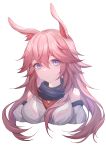  1girl absurdres akochan animal_ears bangs bare_shoulders closed_mouth detached_sleeves fox_ears highres honkai_(series) honkai_impact_3rd japanese_clothes long_hair looking_at_viewer miko pink_hair purple_scarf scarf simple_background solo violet_eyes white_background white_sleeves yae_sakura yae_sakura_(gyakushinn_miko) 