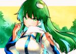  1girl bare_shoulders blush breasts closed_mouth detached_sleeves eyebrows_visible_through_hair frog_hair_ornament gohei green_eyes green_hair hair_between_eyes hair_ornament highres holding japanese_clothes kochiya_sanae large_breasts long_hair nontraditional_miko qqqrinkappp snake_hair_ornament solo touhou traditional_media upper_body wide_sleeves 