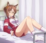  :p alternate_costume animal_ears bed breasts brown_hair buruma come_hither commentary_request fine_motion_(umamusume) full_body green_eyes hair_between_eyes highres horse_ears horse_girl horse_tail jacket legs looking_at_viewer medium_breasts shiodanx tail tongue tongue_out track_jacket umamusume 