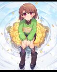  1other bangs black_shorts blush_stickers boots brown_footwear brown_hair brown_legwear brown_shirt chara_(undertale) closed_mouth collared_shirt falling_leaves flower from_above green_sweater head_tilt heart heart_necklace knees_together_feet_apart leaf long_sleeves looking_at_viewer looking_up on_floor on_flower own_hands_together red_eyes shirt short_hair shorts sitting smile striped striped_sweater sweater undertale water xox_xxxxxx yellow_flower 