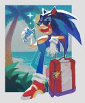  1boy absurdres artist_name beach blue_eyes chaos_emerald cup drinking_straw english_commentary furry furry_male gloves highres holding holding_cup keychain male_focus ocean open_mouth paiirupie palm_tree red_footwear smile solo sonic_(series) sonic_the_hedgehog sparkle suitcase sunglasses super_sonic tails_(sonic) tree watermark white_gloves 